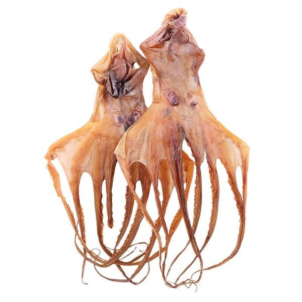XLSEAFOOD Premium South America Dry Octopus