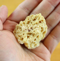 XLSeafood Malaysia Nature Honey Rock Sugar