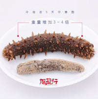 XLSEAFOOD Dried Wild Caught Alaska Sea Cucumber(sample)