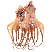 XLSEAFOOD Premium South America Dry Octopus