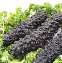 Wild Caught Arctic Black Sea cucumber 10lb pack