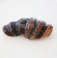 Xlseafood Sun Dried Wild Caught Canada Newfoundland Orange-foot Sea Cucumber（Sample）