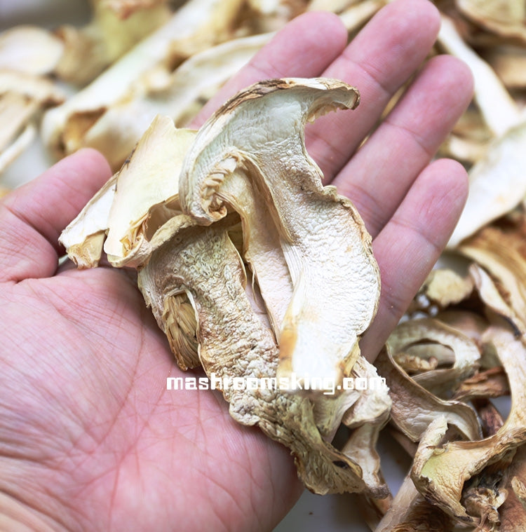 XLSEAFOOD Yun Nan Premium A+ Wild Mushroom  Dry Matsutake Mushrooms